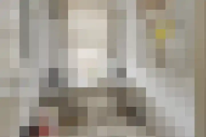 Blommersdijkselaan 7 B Rotterdam thumbnail 33