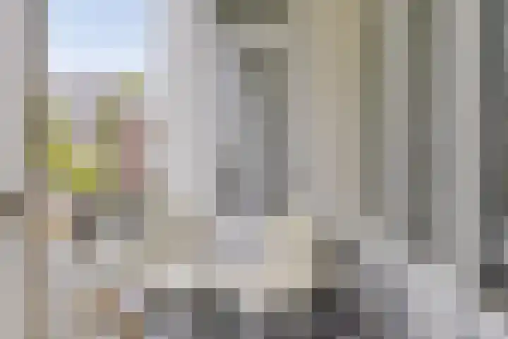Blommersdijkselaan 7 B Rotterdam thumbnail 34