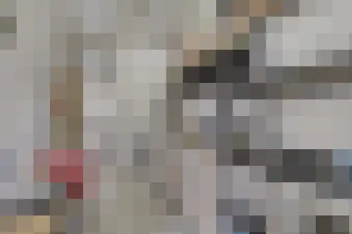 Blommersdijkselaan 7 B Rotterdam thumbnail 35
