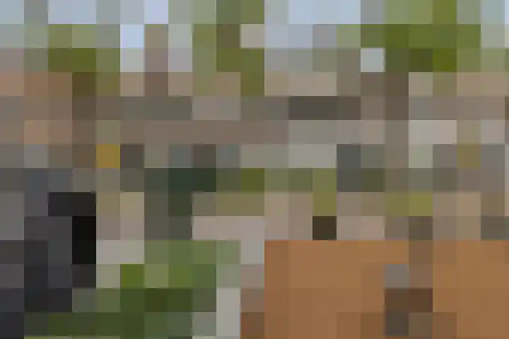 Blommersdijkselaan 7 B Rotterdam thumbnail 4
