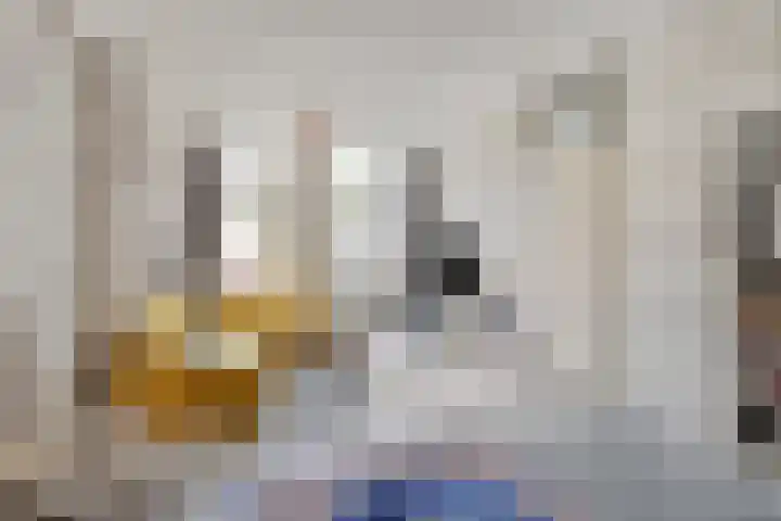 Blommersdijkselaan 7 B Rotterdam thumbnail 40