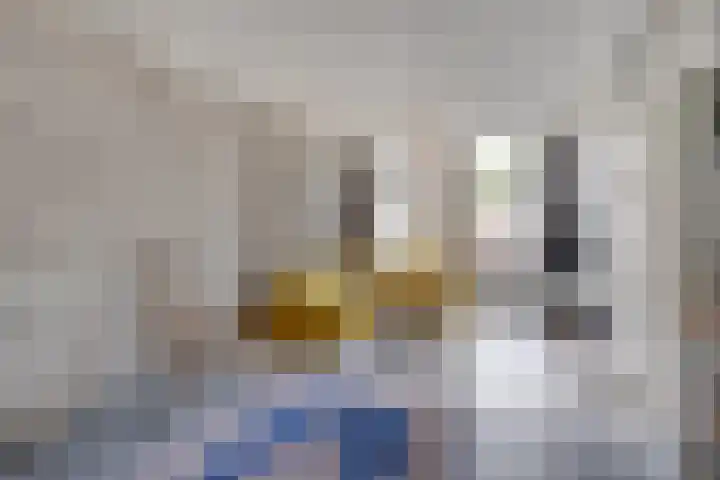 Blommersdijkselaan 7 B Rotterdam thumbnail 41