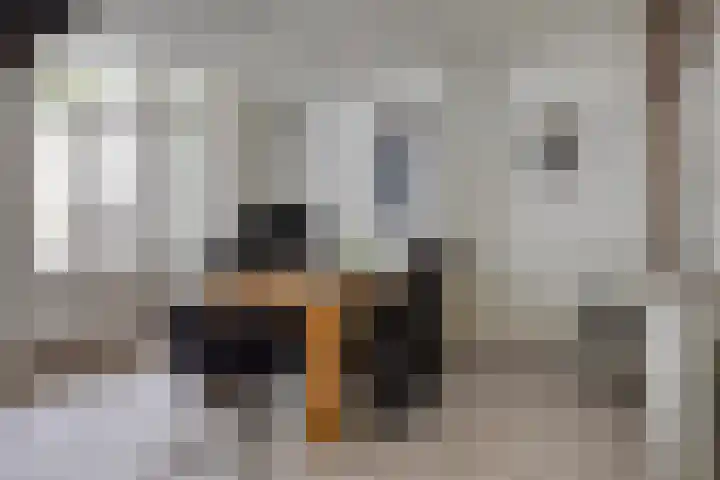 Blommersdijkselaan 7 B Rotterdam thumbnail 45