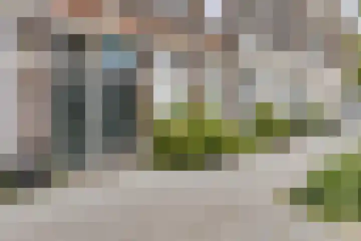 Blommersdijkselaan 7 B Rotterdam thumbnail 46