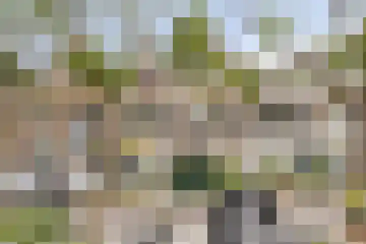 Blommersdijkselaan 7 B Rotterdam thumbnail 47