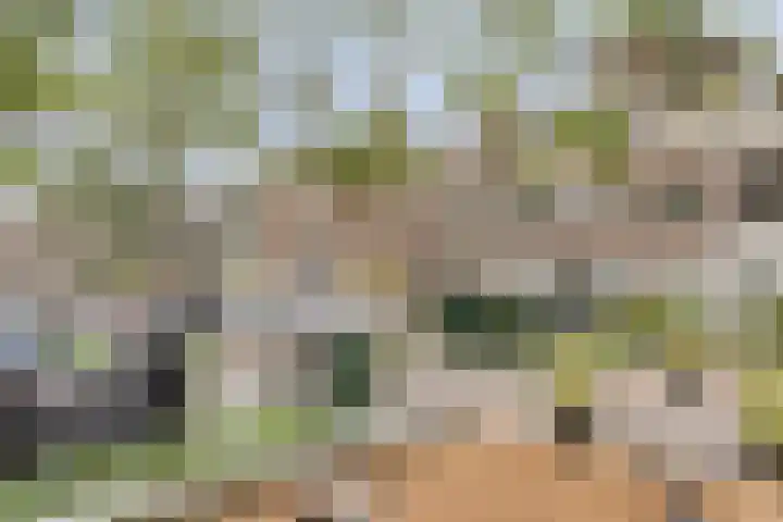 Blommersdijkselaan 7 B Rotterdam thumbnail 48