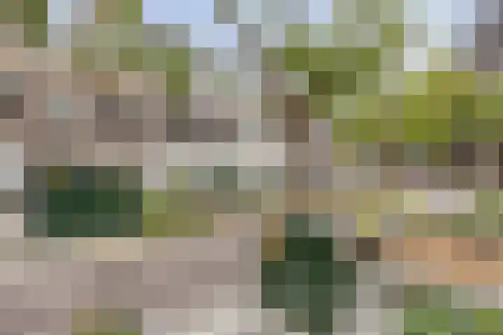 Blommersdijkselaan 7 B Rotterdam thumbnail 49
