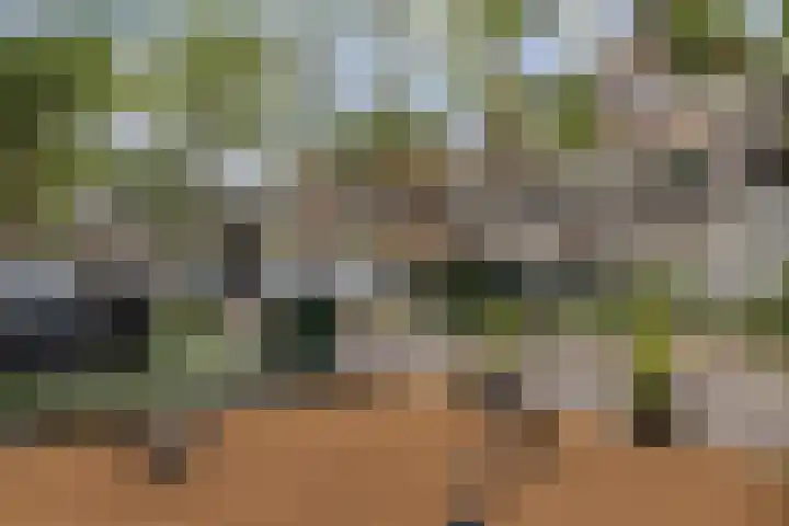 Blommersdijkselaan 7 B Rotterdam thumbnail 5