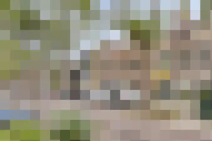 Blommersdijkselaan 7 B Rotterdam thumbnail 50