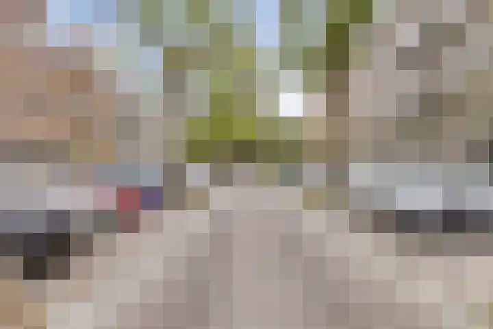 Blommersdijkselaan 7 B Rotterdam thumbnail 52