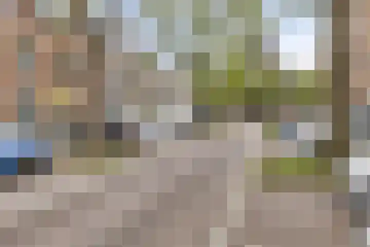Blommersdijkselaan 7 B Rotterdam thumbnail 53