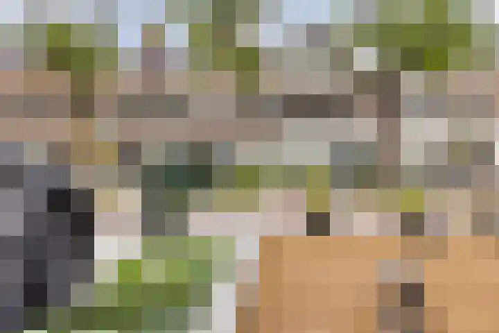 Blommersdijkselaan 7 B Rotterdam thumbnail 54