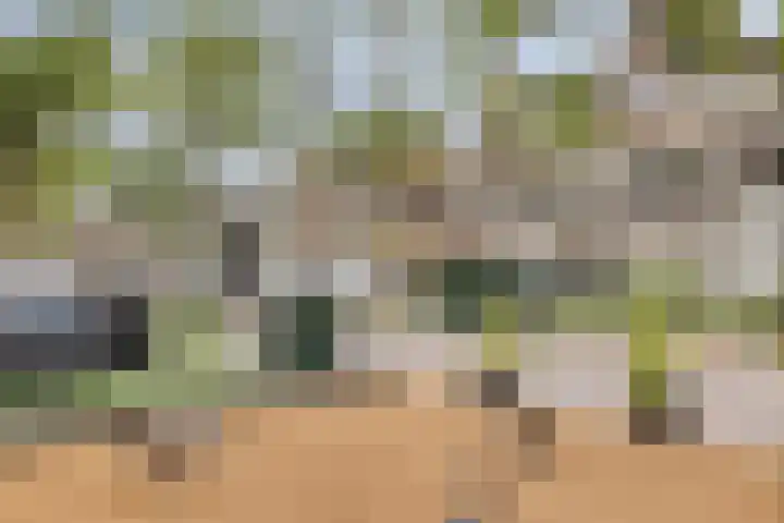 Blommersdijkselaan 7 B Rotterdam thumbnail 55