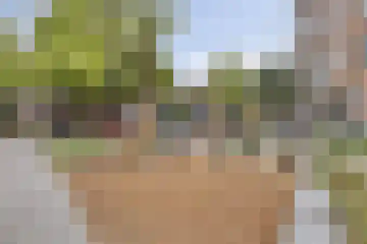 Blommersdijkselaan 7 B Rotterdam thumbnail 57