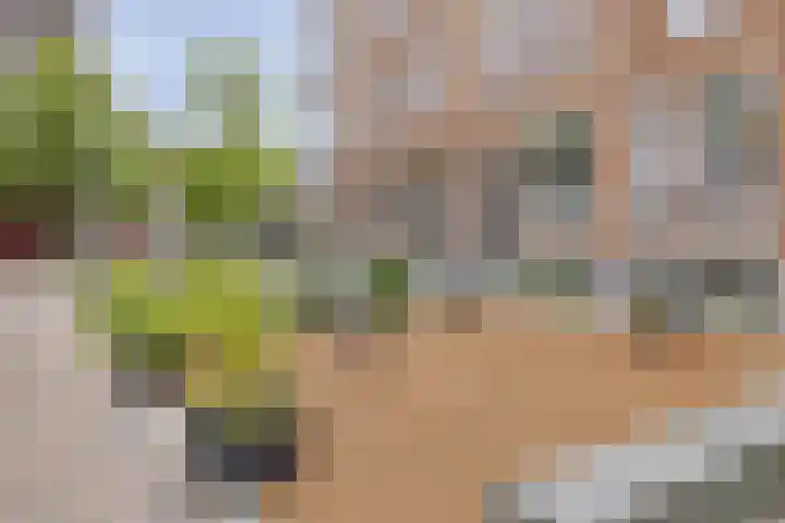 Blommersdijkselaan 7 B Rotterdam thumbnail 58
