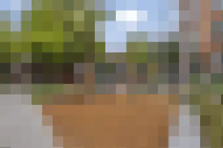Blommersdijkselaan 7 B Rotterdam thumbnail 7