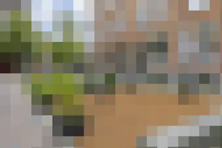 Blommersdijkselaan 7 B Rotterdam thumbnail 8