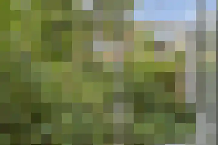 Blommersdijkselaan 7 B Rotterdam thumbnail 9