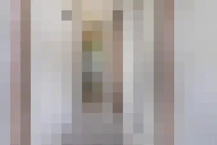 Blommersdijkselaan 9 A Rotterdam thumbnail 11