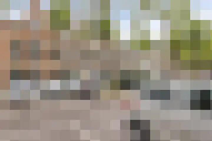 Blommersdijkselaan 9 A Rotterdam thumbnail 12