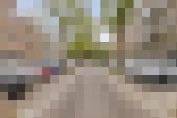 Blommersdijkselaan 9 A Rotterdam thumbnail 15