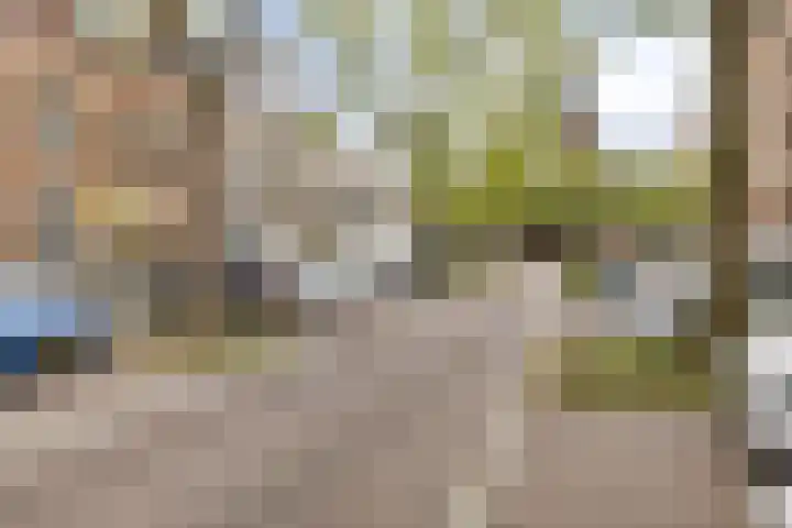 Blommersdijkselaan 9 A Rotterdam thumbnail 16
