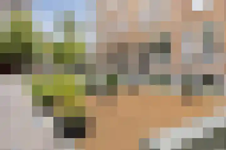 Blommersdijkselaan 9 A Rotterdam thumbnail 18