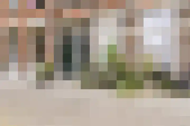 Blommersdijkselaan 9 A Rotterdam thumbnail 19
