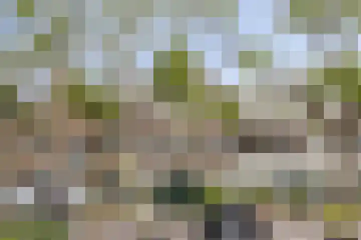Blommersdijkselaan 9 A Rotterdam thumbnail 20