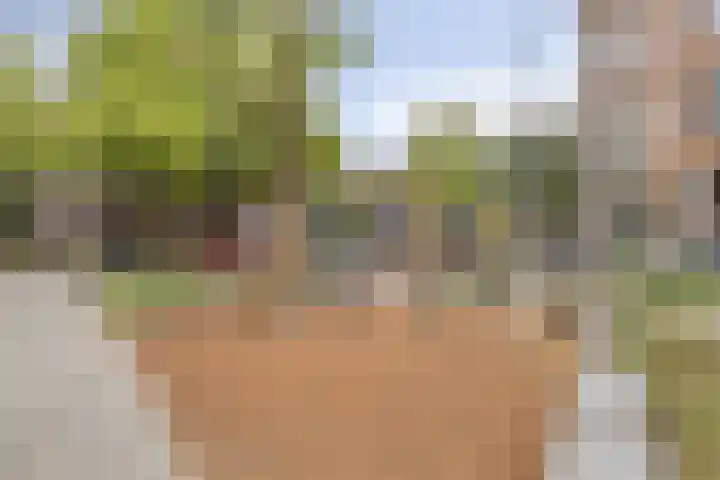 Blommersdijkselaan 9 A Rotterdam thumbnail 22