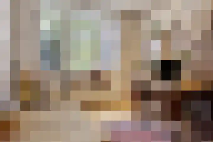 Blommersdijkselaan 9 A Rotterdam thumbnail 28