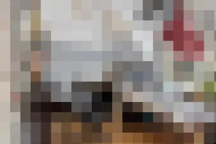 Blommersdijkselaan 9 A Rotterdam thumbnail 32