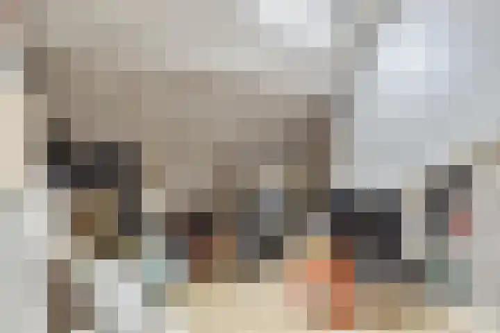 Blommersdijkselaan 9 A Rotterdam thumbnail 34