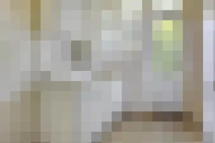 Blommersdijkselaan 9 A Rotterdam thumbnail 4