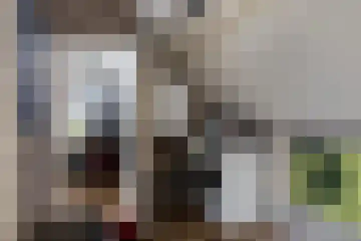 Blommersdijkselaan 9 A Rotterdam thumbnail 40