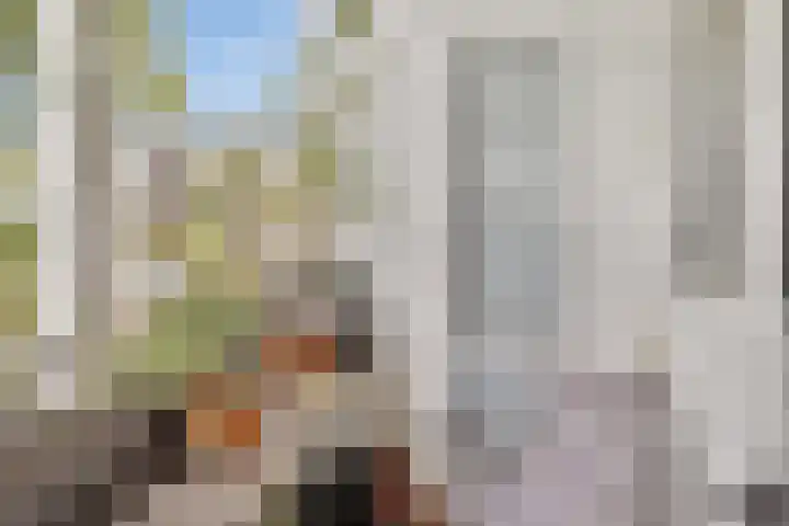 Blommersdijkselaan 9 A Rotterdam thumbnail 41