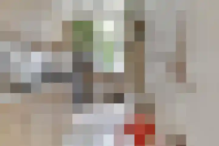 Blommersdijkselaan 9 A Rotterdam thumbnail 43