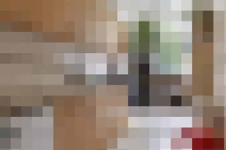 Blommersdijkselaan 9 A Rotterdam thumbnail 44