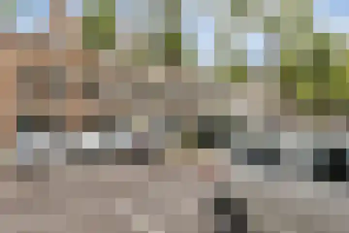 Blommersdijkselaan 9 A Rotterdam thumbnail 50