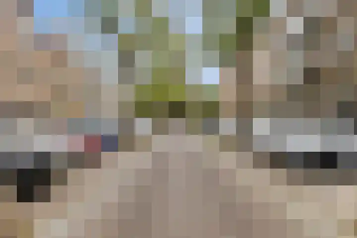 Blommersdijkselaan 9 A Rotterdam thumbnail 52