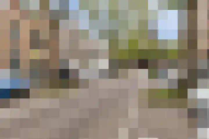Blommersdijkselaan 9 A Rotterdam thumbnail 53