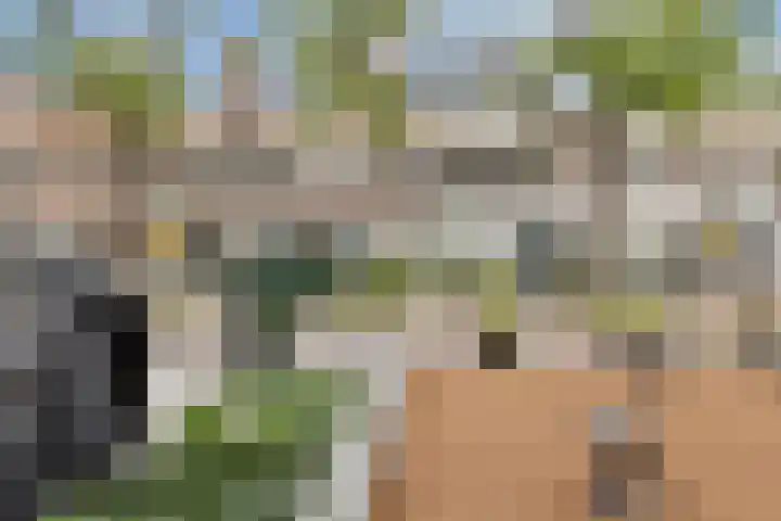 Blommersdijkselaan 9 A Rotterdam thumbnail 54