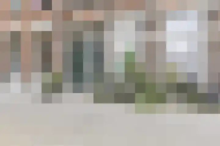 Blommersdijkselaan 9 A Rotterdam thumbnail 56