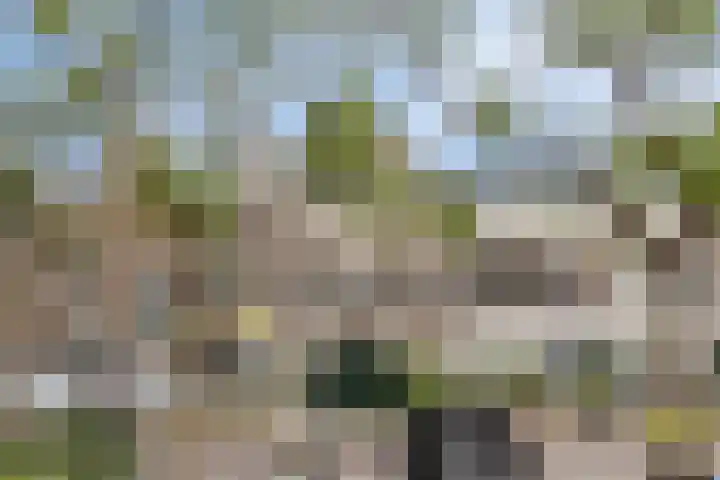 Blommersdijkselaan 9 A Rotterdam thumbnail 57