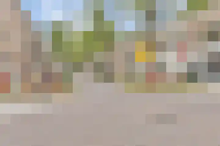 Blommersdijkselaan 9 A Rotterdam thumbnail 58