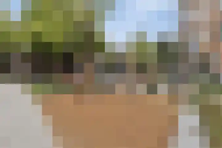 Blommersdijkselaan 9 A Rotterdam thumbnail 59