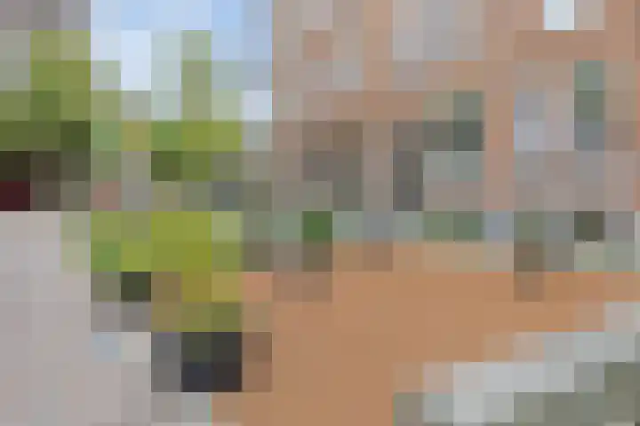 Blommersdijkselaan 9 A Rotterdam thumbnail 60