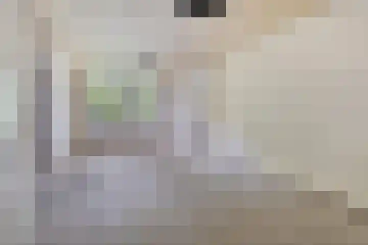 Blommersdijkselaan 9 A Rotterdam thumbnail 7