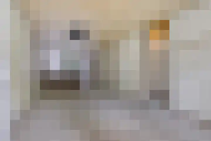 Blommersdijkselaan 9 A Rotterdam thumbnail 8