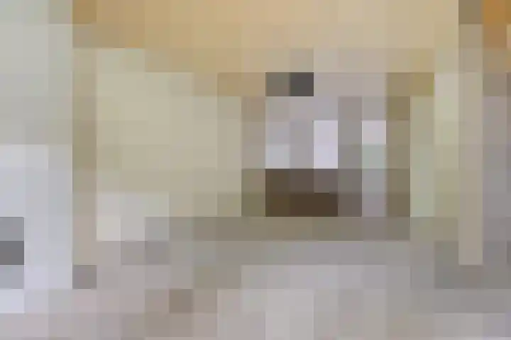 Blommersdijkselaan 9 A Rotterdam thumbnail 9